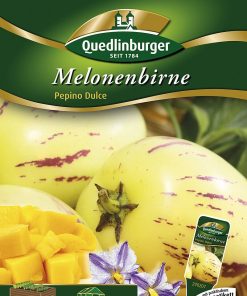 melonenbirne-gaertnerland-quedlinburg