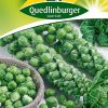 gemuesesamen-rosenkohlsamen-gaertnerland-quedlinburg