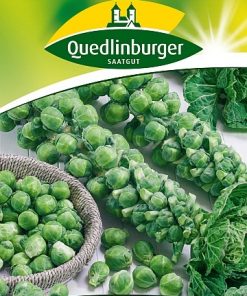 gemuesesamen-rosenkohlsamen-gaertnerland-quedlinburg