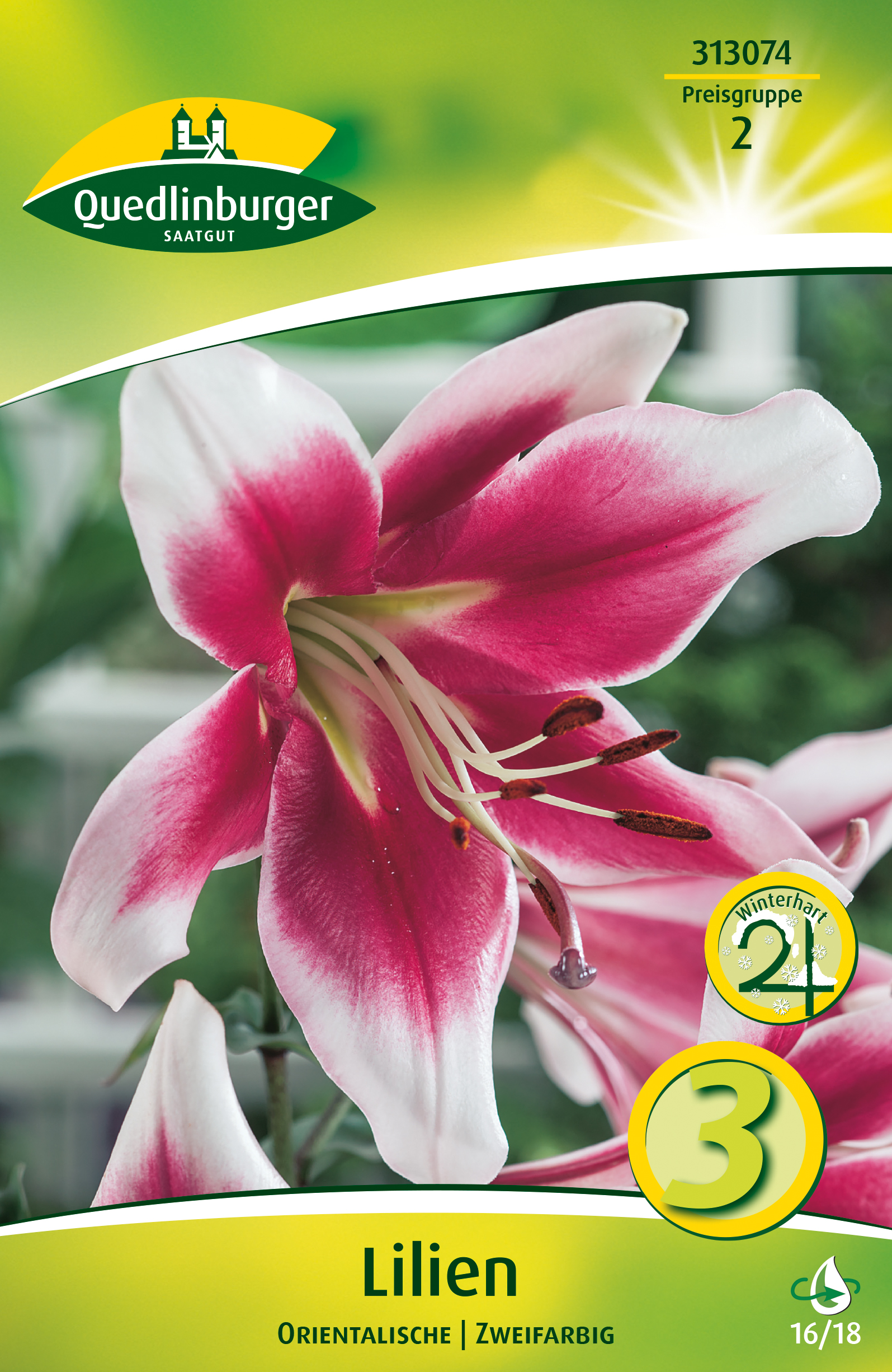 orientalische-lilien-gaertnerland-quedlinburg