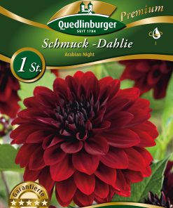 schmuck-dahlien-gaertnerland-quedlinburg