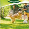 spiel-und-sportrasen-gaertnerland-quedlinburg