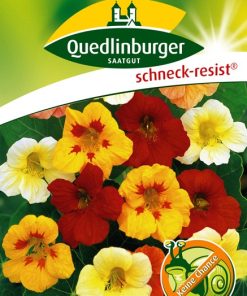 kapuzinerkressesamen-zwerg-prachtmischung-gaertnerland-quedlinburg