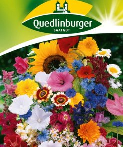 sommerblumen-gaaertnerland-quedlinburg