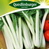 mangoldsamen-gaertnerland-quedlinburg