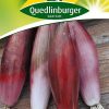 lauchzwiebeln-rossa-di-firenze-gaertnerland-quedlinburg