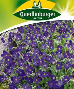 blaukissen-gaertnerland-quedlinburg