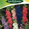 bluetenmischungen-rittersporn-gaertnerland-quedlinburg