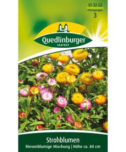 strohblumen-gaertnerland-quedlinburg