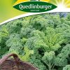 gruenkohlsamen-westlandse-gaertnerland-quedlinburg