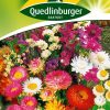 blumensamen-trockenblumen-gaertnerland-quedlinburg