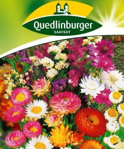 blumensamen-trockenblumen-gaertnerland-quedlinburg