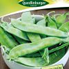 zuckererbsen-oregon-sugar-pod-gaertnerland-quedlinburg