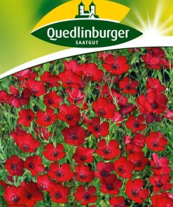 lein-roter-gaertnerland-quedlinburg