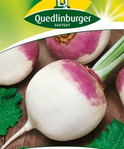 landsaaten-herbsterueben-gaertnerland-quedlinburg