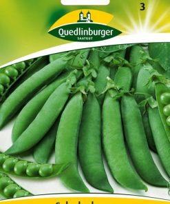 schalerbsen-kleine-rheinlaenderin-gaertnerland-quedlinburg