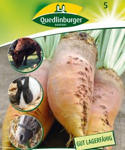 runkelrueben-brigadier-gaertnerland-quedlinburg