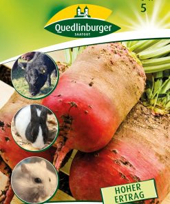 runkelrueben-rote-walze-gaertnerland-quedlinburg