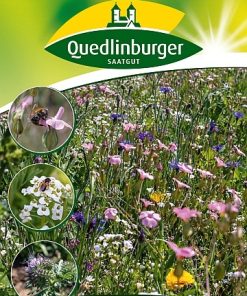 bienen-und-hummelmischung-gaertnerland-quedlinburg