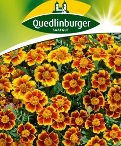 studentenblumen-ehrenkreuz-gaertnerland-quedlinburg