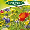 kraeuter-und-blumenmischung-gaertnerland-quedlinburg