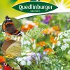 insektenfreund-schmetterling-nektarspender-gaertnerland-quedlinburg
