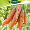 moehrensasen-rote-riesen-gaertnerland-quedlinburg