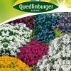 steingartenstauden-niedrige-mischung-gaertnerland-quedlinburg