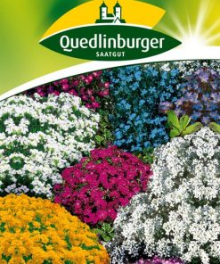 steingartenstauden-niedrige-mischung-gaertnerland-quedlinburg