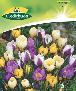 krokus-mischung-gaertnerland-quedlinburg
