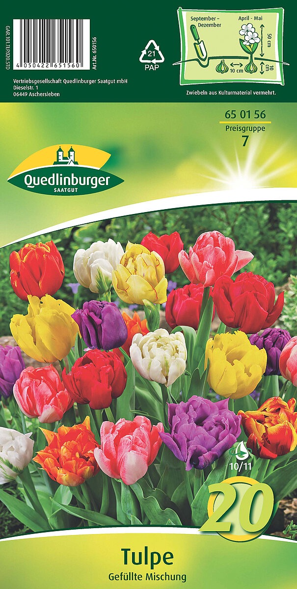 tulpen-gefuellte-mischung-gaertnerland-quedlinburg