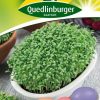 ostergras-osternest-mit-kresse-gaertnerland-quedlinburg