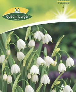 maerzenbecher-gaertnerland-quedlinburg