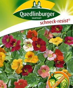 kapuzienerkresse-gaertnerland-quedlinburg