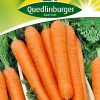 moehrensamen-amsterdam-2-gaertnerland-quedlinburg