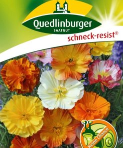 kalifornischer-goldmohn-gaertnerland-quedlinburg