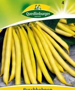 buschbohnen-maxidor-gaertnerland-quedlinburg