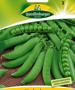 markerbsen-gloriosa-gaertnerland-quedlinburg