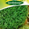 gaertenkresse-krause-gaertnerland-quedlinburg