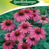 sonnenhut-leuchtstern-gaertnerland-quedlinburg