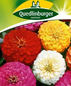 zinnien-dahlienbluetige-prachtmischung-gaertnerland-quedlinburbg