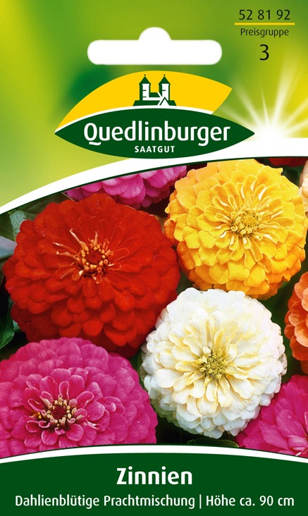 zinnien-dahlienbluetige-prachtmischung-gaertnerland-quedlinburbg
