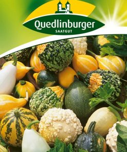 zierkuerbisse-gaertnerland-quedlinburg