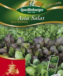 asia-salt-gaertnerland-quedlinburg