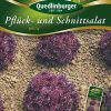 pfluecksalat-jenny-gaertnerland-quedlinburg