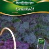 gruenkohl-skarlet-gaertnerland-quedlinburg