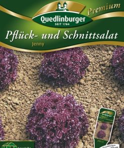pfluecksalat-jenny-gaertnerland-quedlinburg