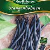 stangenbohnen-blauhilde-gaertnerland-quedlinburg