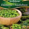 sojabohnen-edamame-gaertnerland-quedlinburg