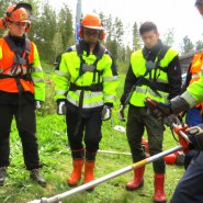 ”Operation skövling av Solsheden” och Allsång med Svenska kyrkan